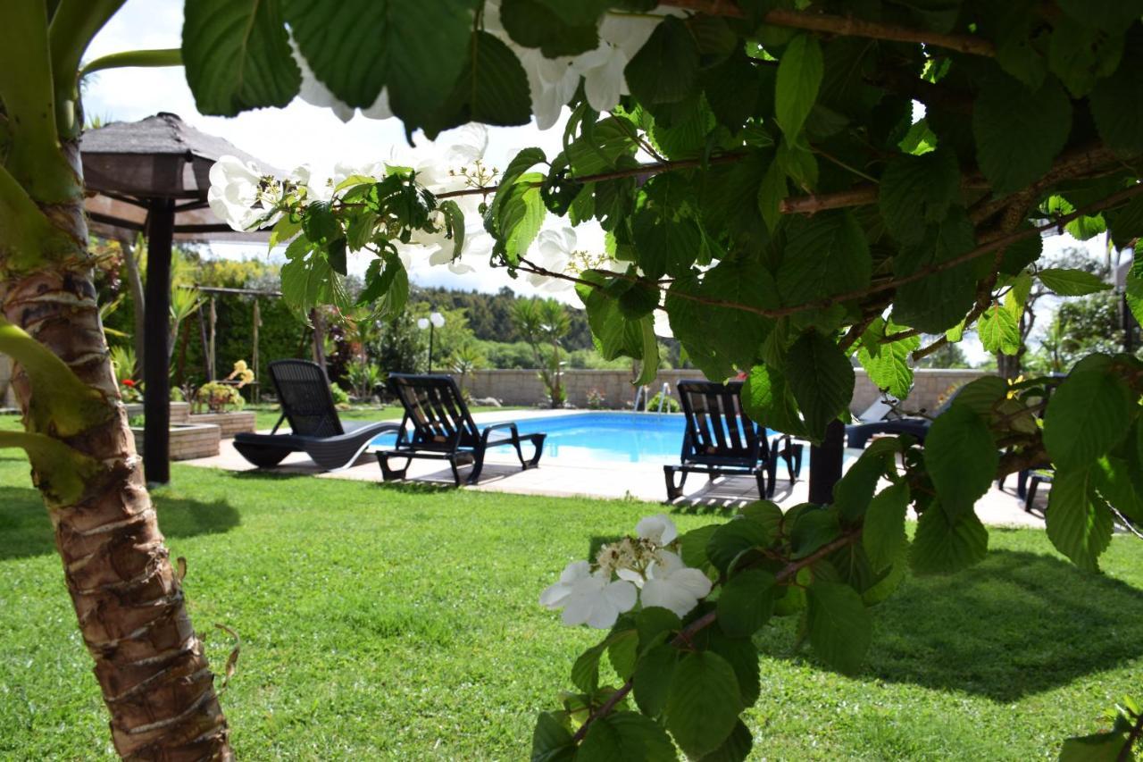 Alagoas4Family - Country House Arouca Buitenkant foto